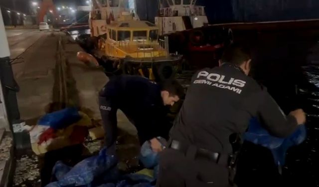 Samsun’da kaçak midye operasyonu