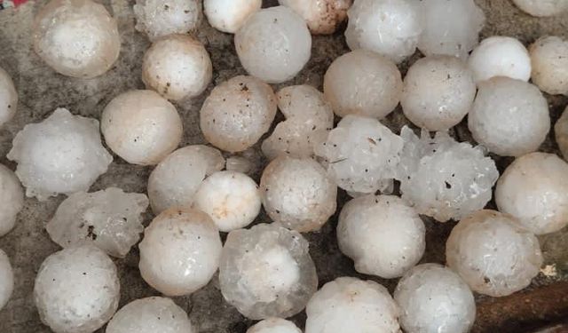 Şanlıurfa'da dolu ekili arazilere zarar verdi