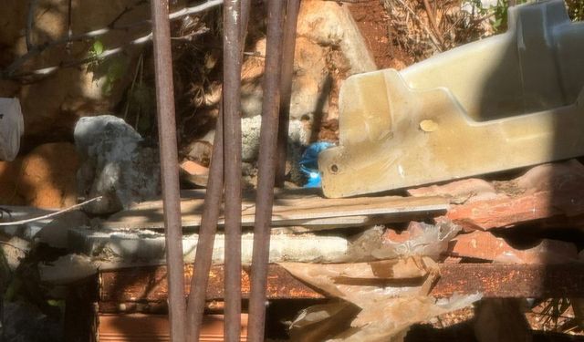 Şeritli engereklerden çiftleşme dansı