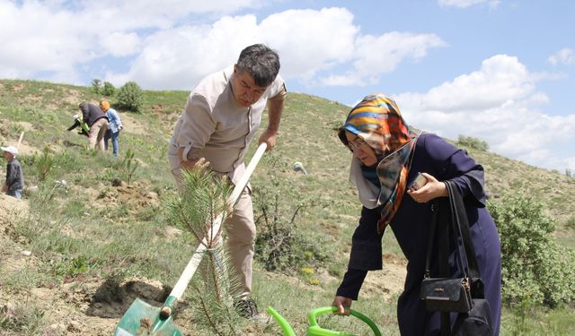 Sivas’ta Vefa Ormanı: 535 Kişinin Anısına Fidan Dikildi