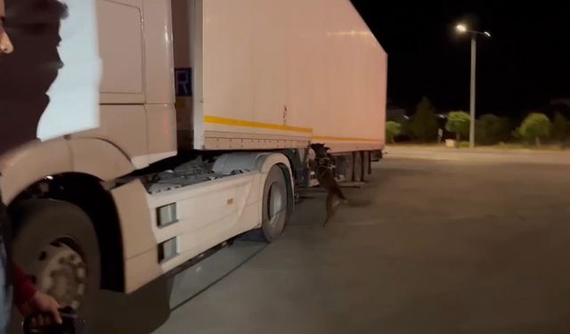 TIR dorsesinde kilolarca uyuşturucu bulundu.