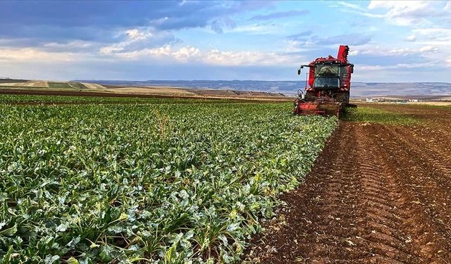 Ankara Büyükşehir Belediyesi yerli üreticinin yanında!