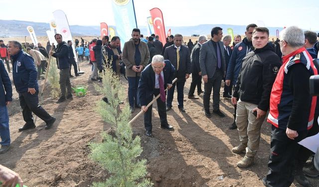 6 senede 750 bin fidan dikildi