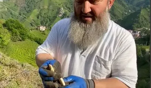 Temizlik yaparken yılan buldu