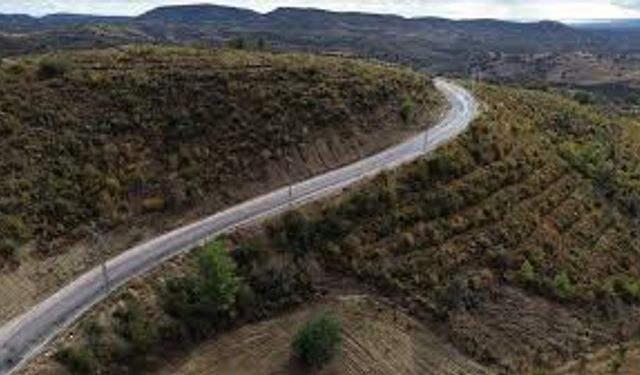 Manavgat'ta davayı kazanan hissedarlar yolu ulaşıma kapattırdı
