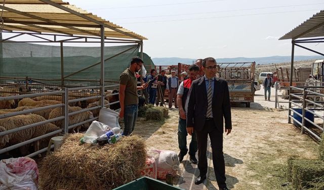 Beypazarı Kaymakamı Yılmaz'dan Hayvan Pazarı İncelemesi