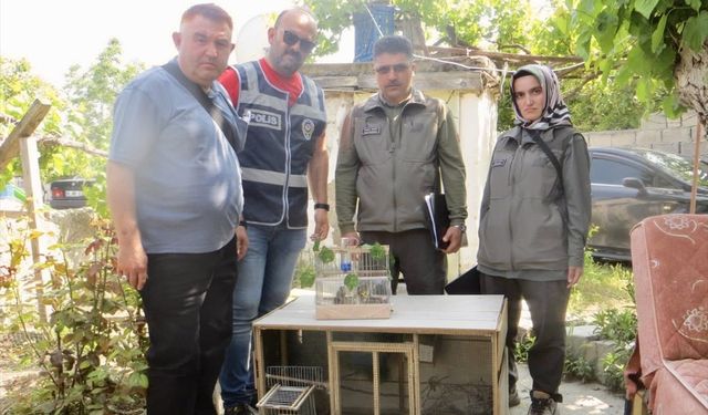 Evinde saka kuşu satan kişiye para cezadı kesildi