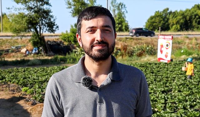Otomasyon Mühendisi, Çilek Yetiştiriyor