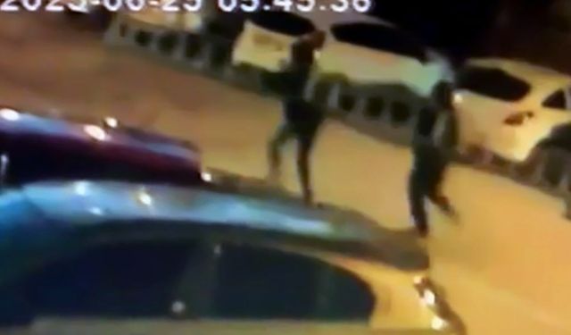 Adana'da seyyar merdivenle hırsızlık