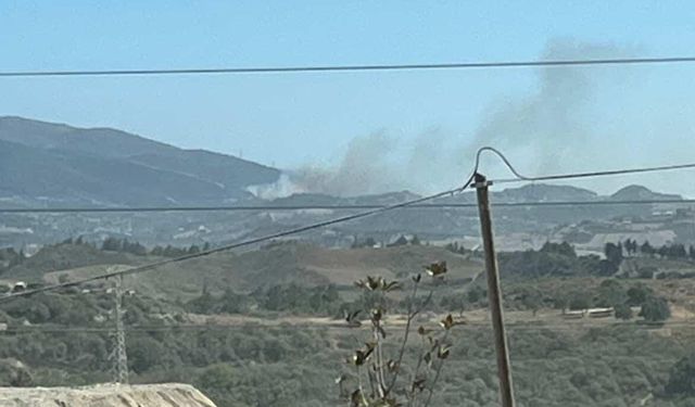 Antakya'da orman yangını