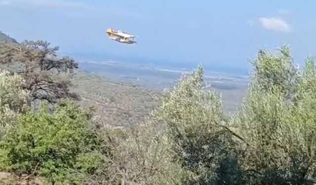 Balıkesir'deki Orman Yangını Bir Gün Sürdü