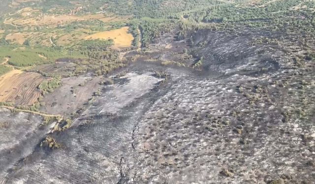 Balıkesir'deki orman yangını sürüyor