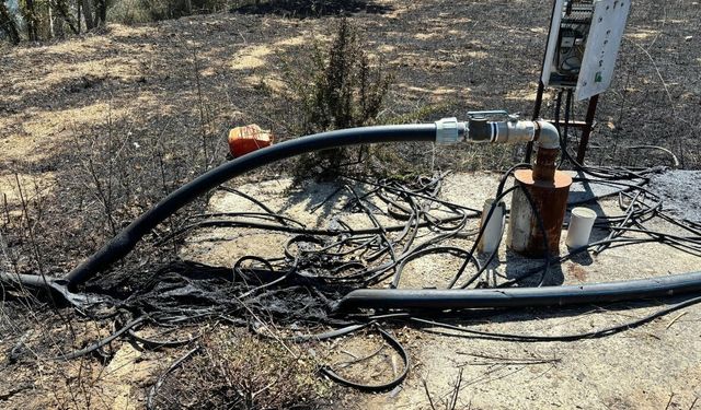 Çanakkale’de Orman Yangını: 3 Kişi Gözaltında