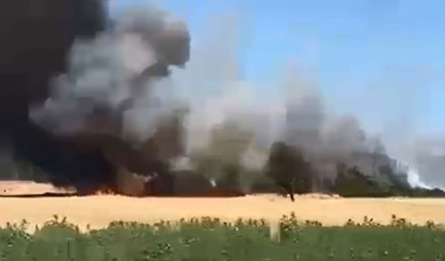 Çanakkale'de Tarım Arazisi Yandı