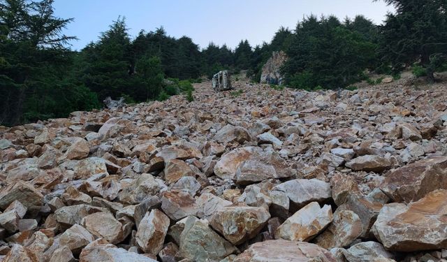 Gaziantep'te kaza: Aynı aileden 3 ölü, 1 yaralı