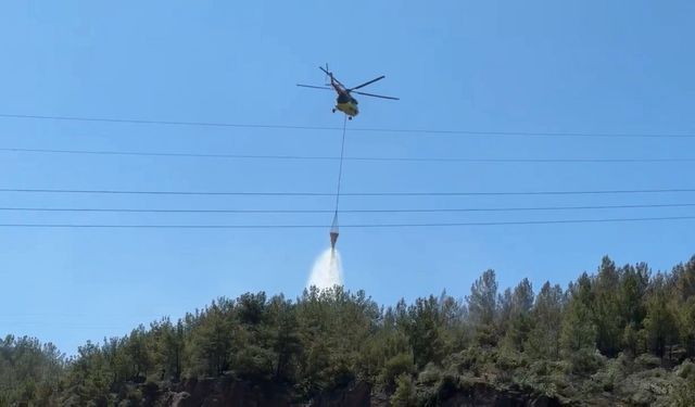 Karabük'te orman yangını