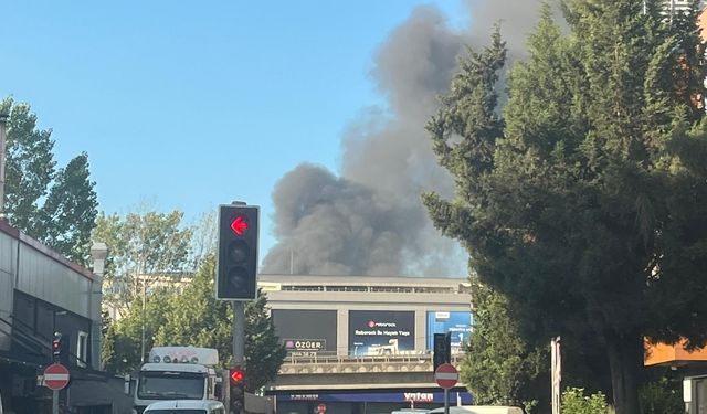 Kocaeli'de tesisi alevler sardı