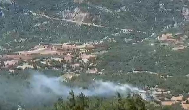 Kozan'da orman yangını