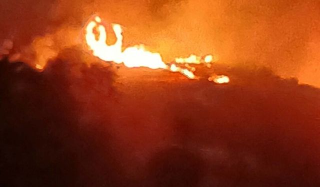 Manisa'da arazi yangını ormana sıçradı!