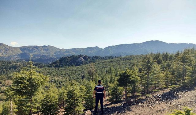 Muğla'da Ormana Girmek Yasak