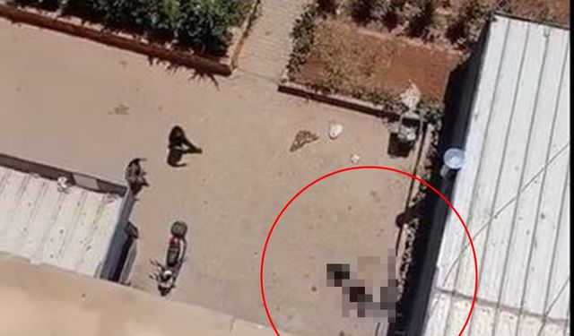 Reklam oyuncusu 11'inci kattan düşerek öldü