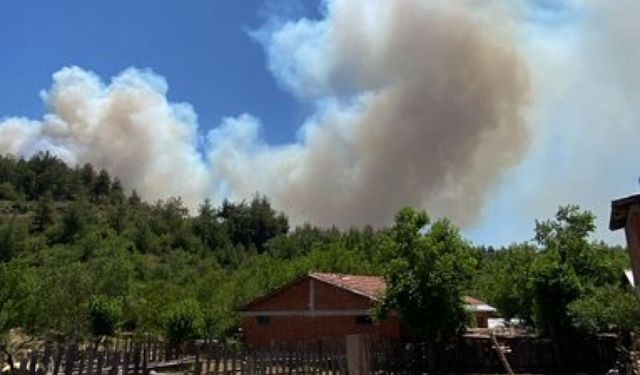 Sakarya'dan Bilecik'e sıçrayan orman yangını sürüyor