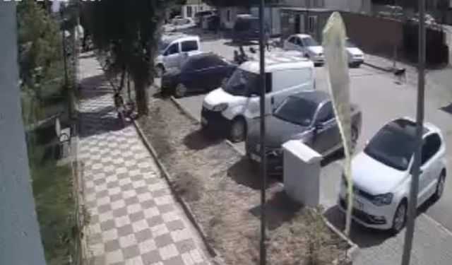 Sokak Köpekleri Çocuklara Saldırdı