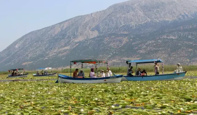 'Nilüfer' Turizmi Işık Gölünü Popülerleştirdi