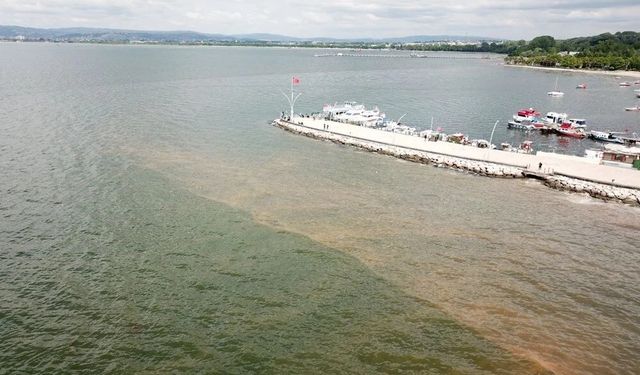 İzmit Körfezi'nde deniz kahverengiye büründü!