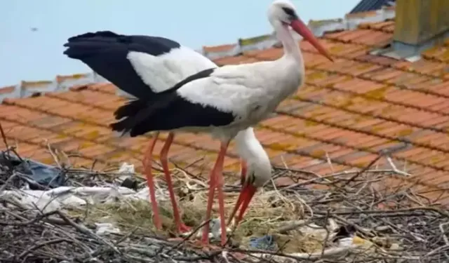 Susuz kaldı, vatandaşlar tarafından kurtarıldı