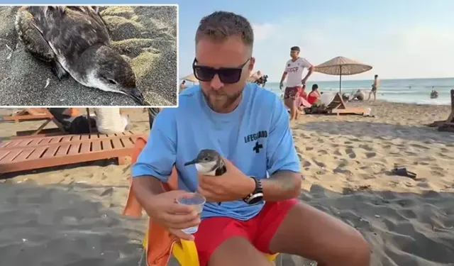 Nesli Tükenme Tehlikesindeki Kuşa Hayat Verdi