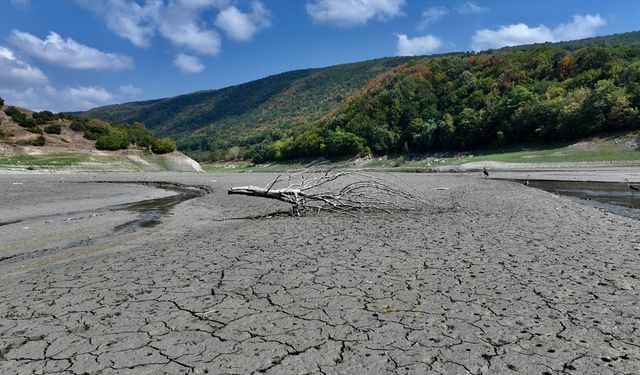 Batı Karadeniz'de kuraklık alarmı