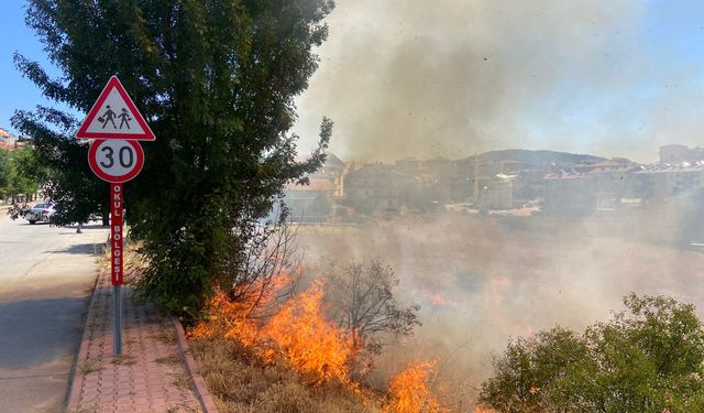 Beyşehir'deki yangın söndürüldü