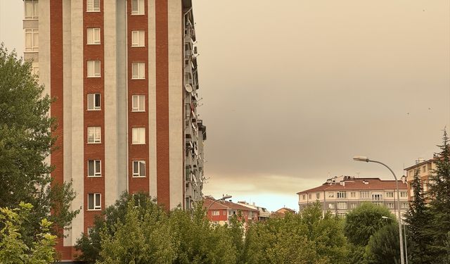 Bilecik'teki yangın Eskişehir'e ulaştı
