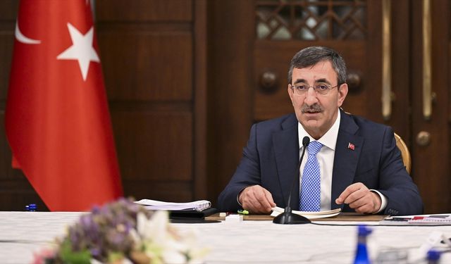 Türkiye Nüfus Kriziyle mi Karşı Karşıya? Cevdet Yılmaz'dan Çarpıcı Uyarılar!