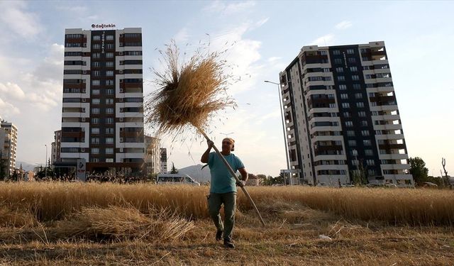 Emekli Astsubay Şehir Ortasında Köy Hayatı Yaşıyor