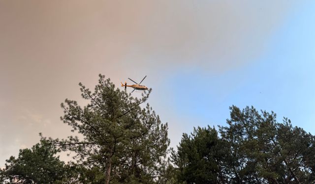 Karabük yangınına müdahale devam ediyor!