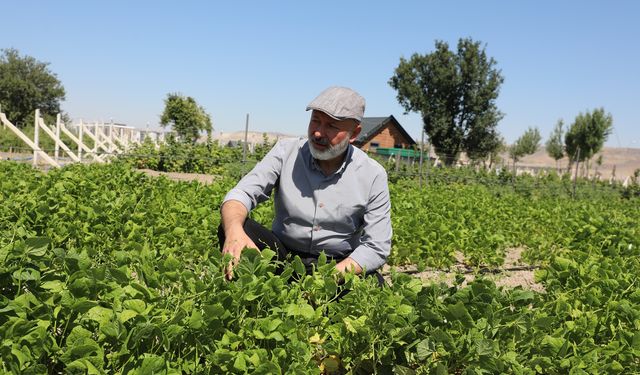 Kocasinan’da Ata Tohumları Toprakla Buluştu