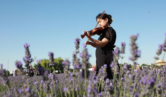 Konya'da 'Karatay Lavanta Festivali'