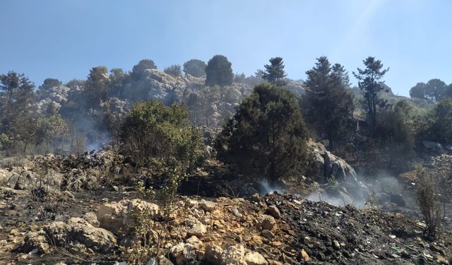 Konya'da yangın ormana sıçradı