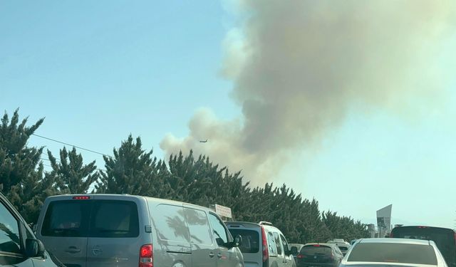Antalya'da İki Noktada Orman Yangını