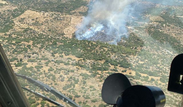 Aydın'da arazi yangını!