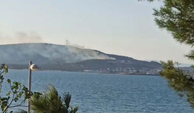 Balıkesir'deki orman yangını büyümeden kontrol altına alındı