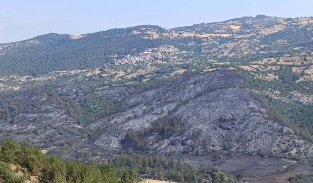 Balıkesir'deki orman yangını devam ediyor