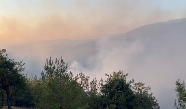 Bursa Orman Yangını Havadan Görüntülendi; Mahallelere Geri Dönüşler Başladı
