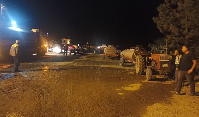Bursa'da orman yangını sürüyor