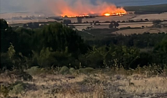 Çanakkale'de Tarım Arazisi Yandı