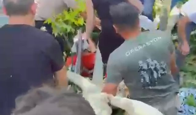 Çınar Dalı Meydanda Dehşet Saçtı: Gölcük’te 3 Kişi Yaralı