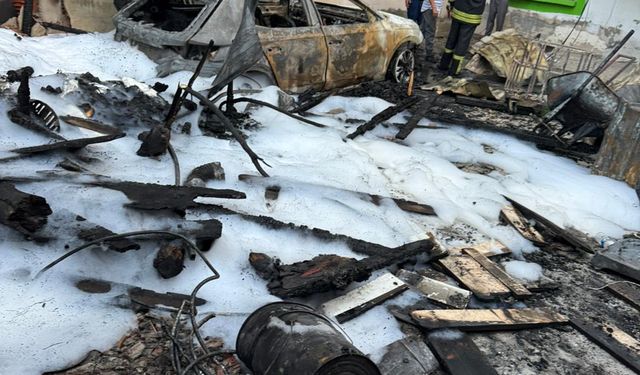 Diyarbakır'da odunluğu alevler sardı