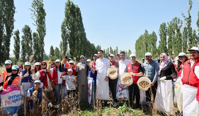Gönüllü gençler hasat desteği!